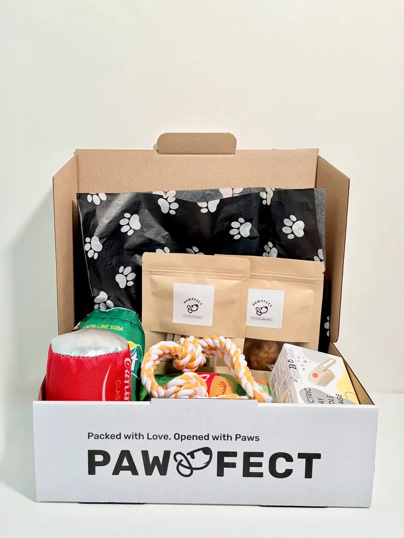 Pawpfect box full of toys for dogs