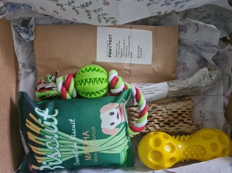 Pawpfect Puppy Box for New Dog Owners